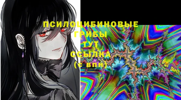 шишки Касимов