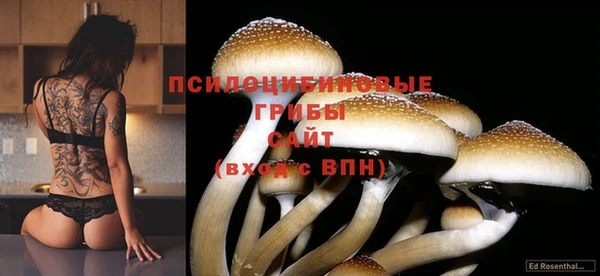 кокаин премиум Карпинск