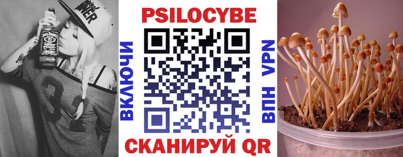 Купить закладки  Гагарин  Псилоцибиновые грибы мухоморы 