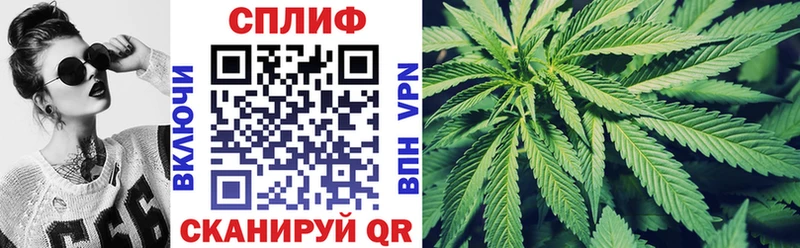 Каннабис сатива Купить закладки Гагарин